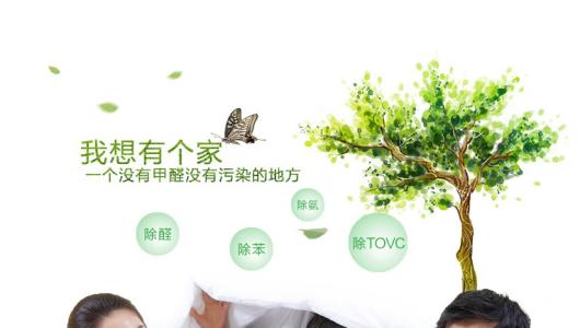 效果好、專業(yè)的光觸媒除甲醛產(chǎn)品有那些？